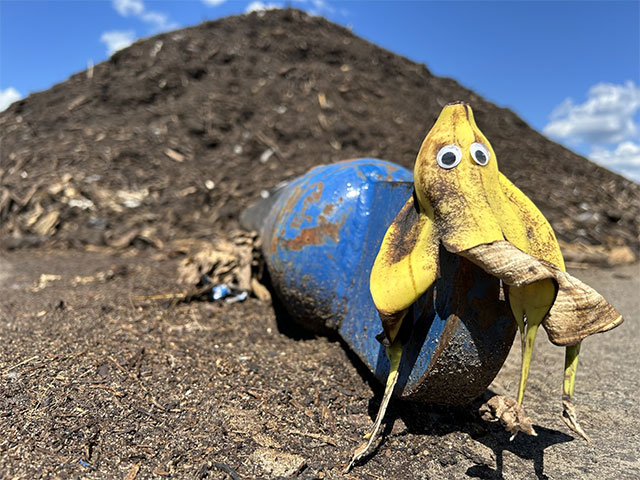 Once an organics campaign star, now a composting superstar.

Just like this peel, our Waste Plan is getting a major refresh — and the RDKB need your voice to shape what comes next.