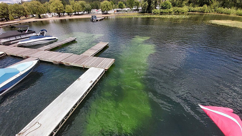 RDKB Launches New Floating Benthic Mat Partnership Program for Christina Lake Waterfront Property Owners.