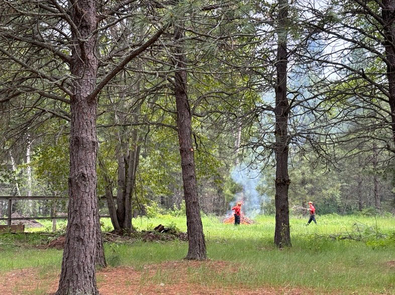 BC Wildfire Service Crews collaborated with the RDKB on a Fire Mitigation Project (June 2024) around the Christina Lake Welcome Centre.  It included the elimination of low-level combustibles and ladder fuels in the extended zone (10m - 30m) around the building; the felling, slashing, limbing and piling of trees as well as the odd burn pile.