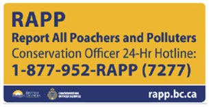 report all poachers and polluters