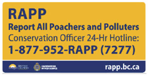 report all poachers and polluters report all poachers and polluters